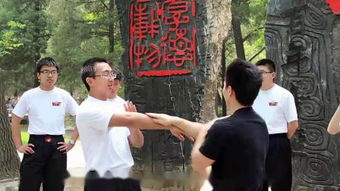咏春拳全集 –