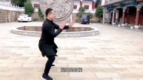 咏春拳 男子散打 两强相遇咏者胜