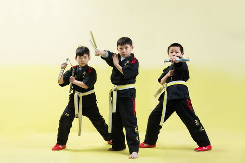 忠义武道咏春拳教育三人团购大实惠