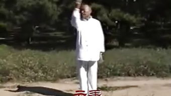 深圳咏春拳