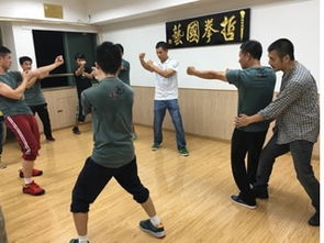 山东哲拳国艺咏春拳学怎么样 hebnews.cn