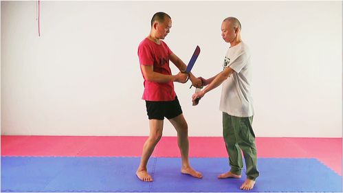 八零年代练武术9,东莞大叔学咏春拳八斩刀,抽刀断水水更流
