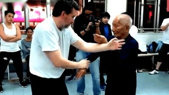 外国咏春拳 –