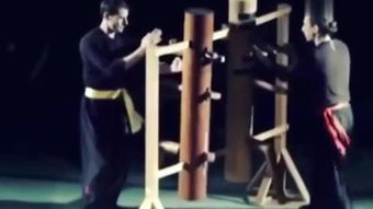 咏春拳 –