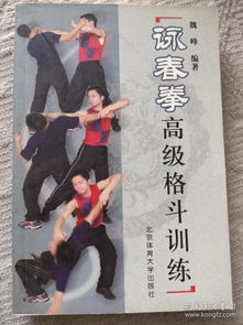 咏春拳高级格斗训练