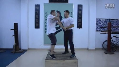 还原真实的咏春拳一种暴烈 高效 凶狠的街头搏击术
