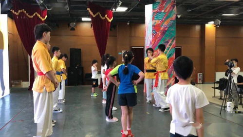 米机王咏春拳非遗公益讲座