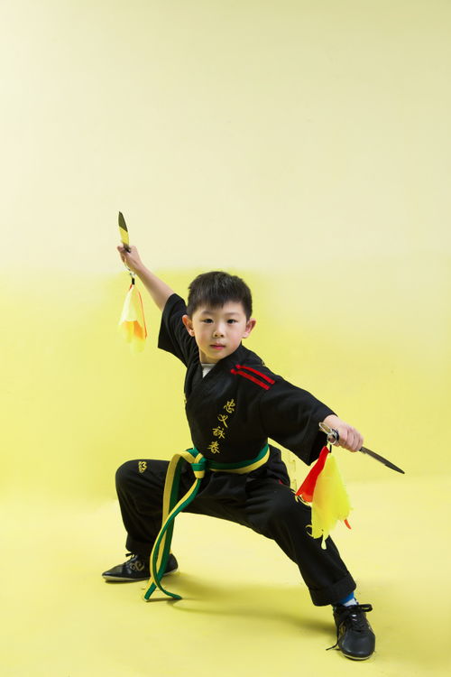 忠义武道咏春拳教育三人团购大实惠