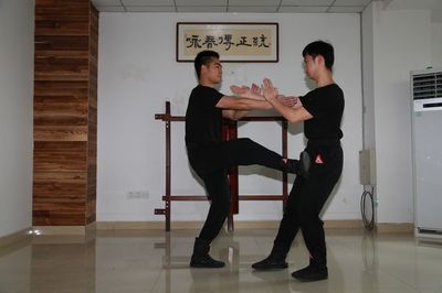 南昌正宗咏春拳