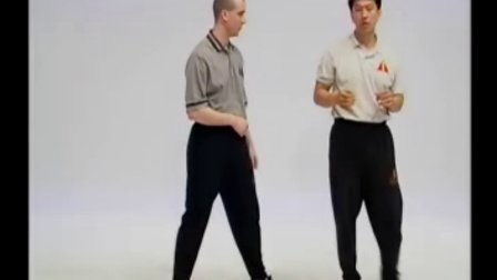 叶问咏春拳