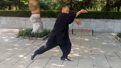 咏春拳
