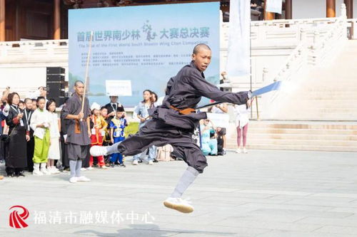 全球170余名 武林高手 云集 首届世界南少林咏春拳大赛总决赛开幕