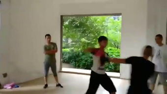 波兰咏春拳 –