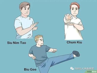 这是你想学的咏春拳吗