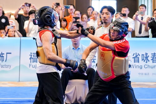 武林 争霸,决胜咏春 首届世界南少林咏春拳大赛决出36名项目冠军