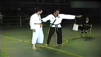 波兰咏春拳 –