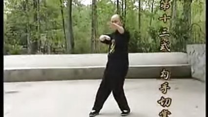 厦门咏春拳 古劳咏春拳
