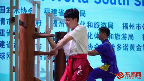 首届世界南少林咏春拳大赛总决赛在福清圆满举行