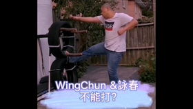 咏春拳实战招式组合