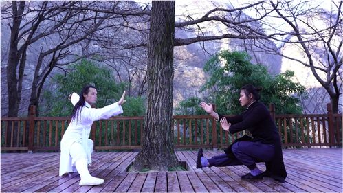 咏春拳vs太极拳,听说叶问蹲这个动作,很难,道长来挑战