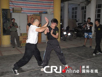 咏春拳在越南