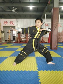 赵少堃 内乡中体咏春拳馆 超级咏春之星 网络评选