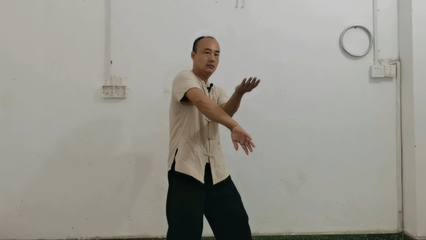 咏春拳半摊膀动作示范