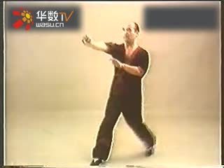 咏春拳梁挺1_4--华数TV
