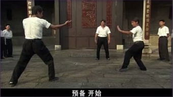 咏春拳全集 –