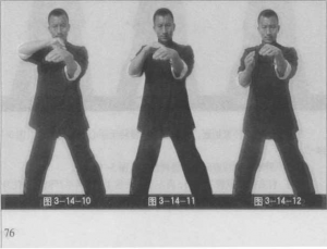 咏春拳 黏手练法与用法_咏舂拳双黏手训练|武术世家