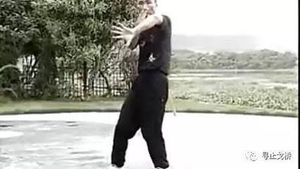咏春只有立拳,没有平拳?关于咏春拳的几个误解