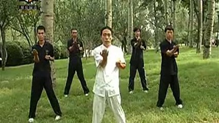 咏春拳教学