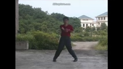 郭伟湛咏春拳标旨