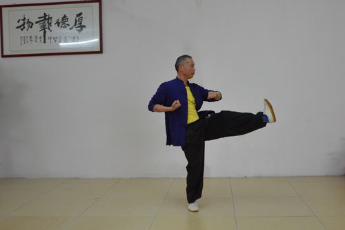 怎样学习咏春拳东莞咏春拳梁康撰写