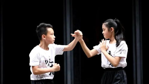 从未消逝的武林 第五批国家级非遗名录公布,佛山咏春拳上榜