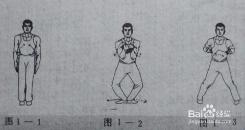 咏春拳寻桥使用方法