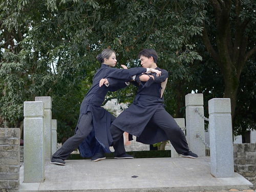 咏春拳 2