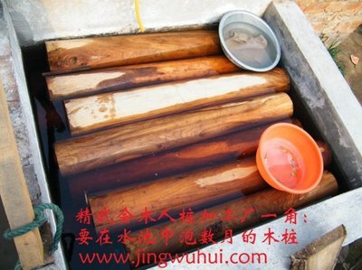 精武会牌钢板落地式木人桩 (精品系列咏春拳木人桩) 厂家直销-特级网