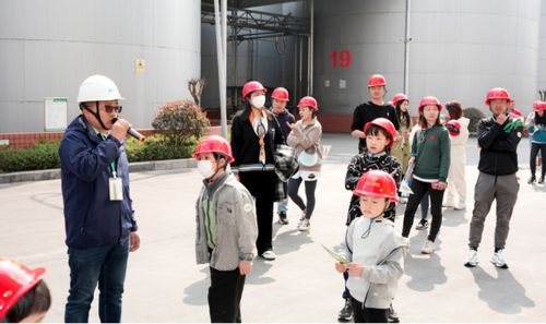 眼见为实：食品企业的零距离工厂之旅与咏春拳的启示