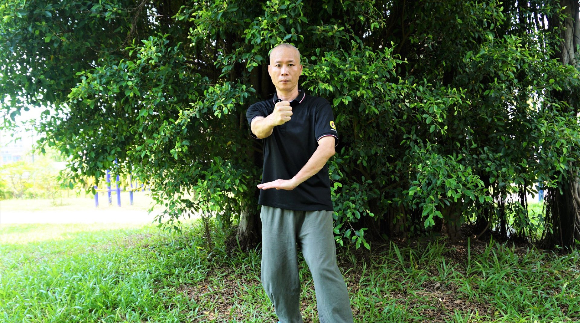内膀手咏春拳化解正踢的宝典 实战防身与财经投资的共通智慧