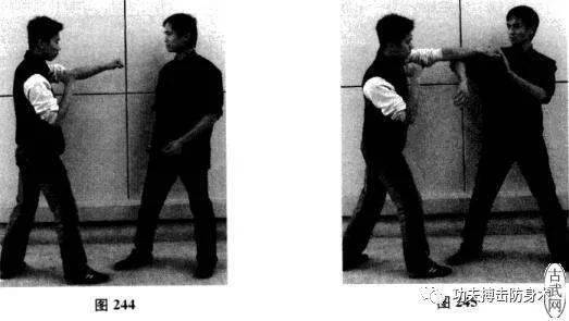 咏春拳实战技法 耕手与膀手的训练与运用