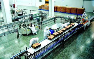 开发区聚焦“4+1”产业布局，九大重点工作助力区域发展——以咏春拳精神为喻