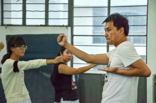 扬大咏春拳爱好者 在校园传承中华武术