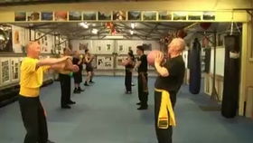 咏春拳基础力量训练（三） 核心力量与实战应用