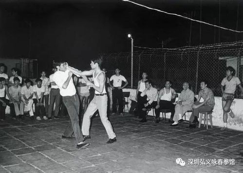 李小龙与咏春拳 创新还是背叛？