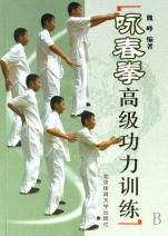 咏春拳高级功力训练 精进技艺与内化心法