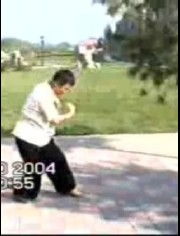 太极拳与咏春拳 中华武术的动静之韵